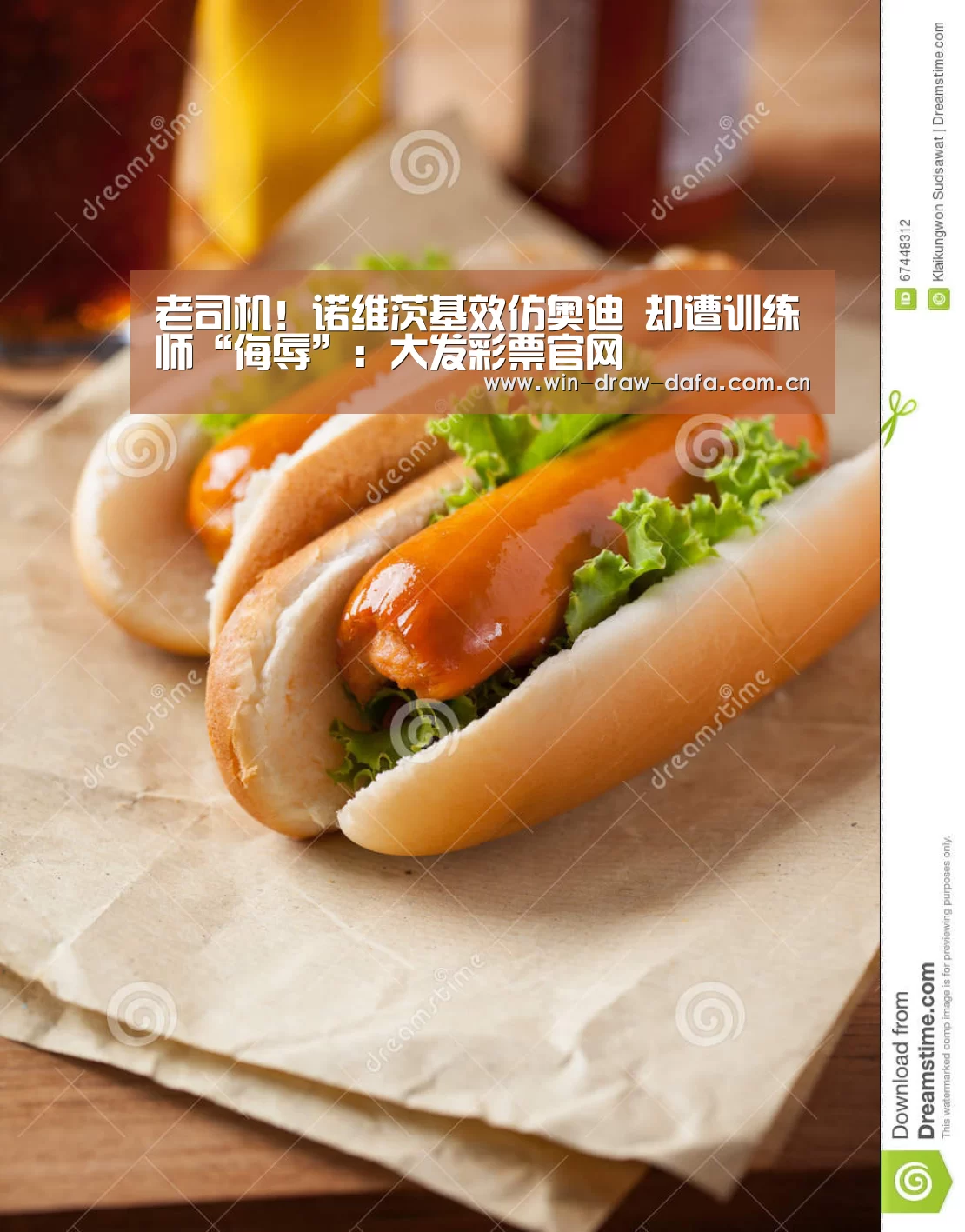 大发彩票
