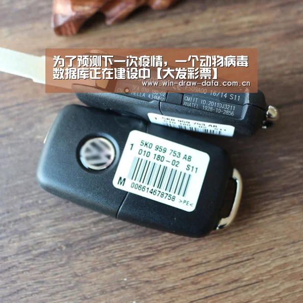 大发彩票官网